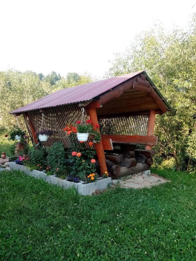 Sadyba Sunny House Pilipets Buitenkant foto